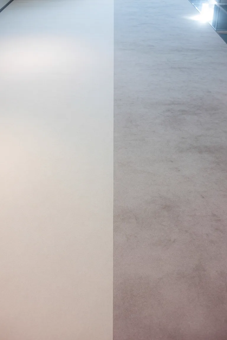 Frisch gereinigter Teppich in hellem Wohnraum (KI-generiertes Symbolbild)